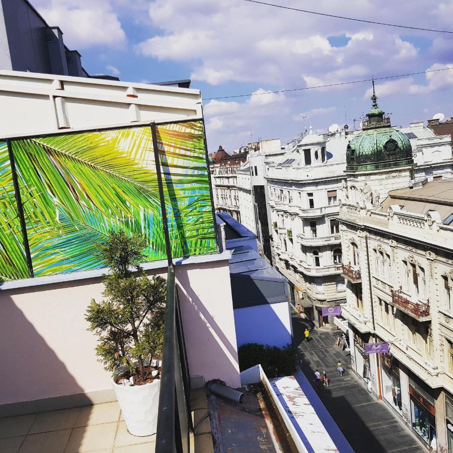 Jolie Leilighet Beograd Eksteriør bilde